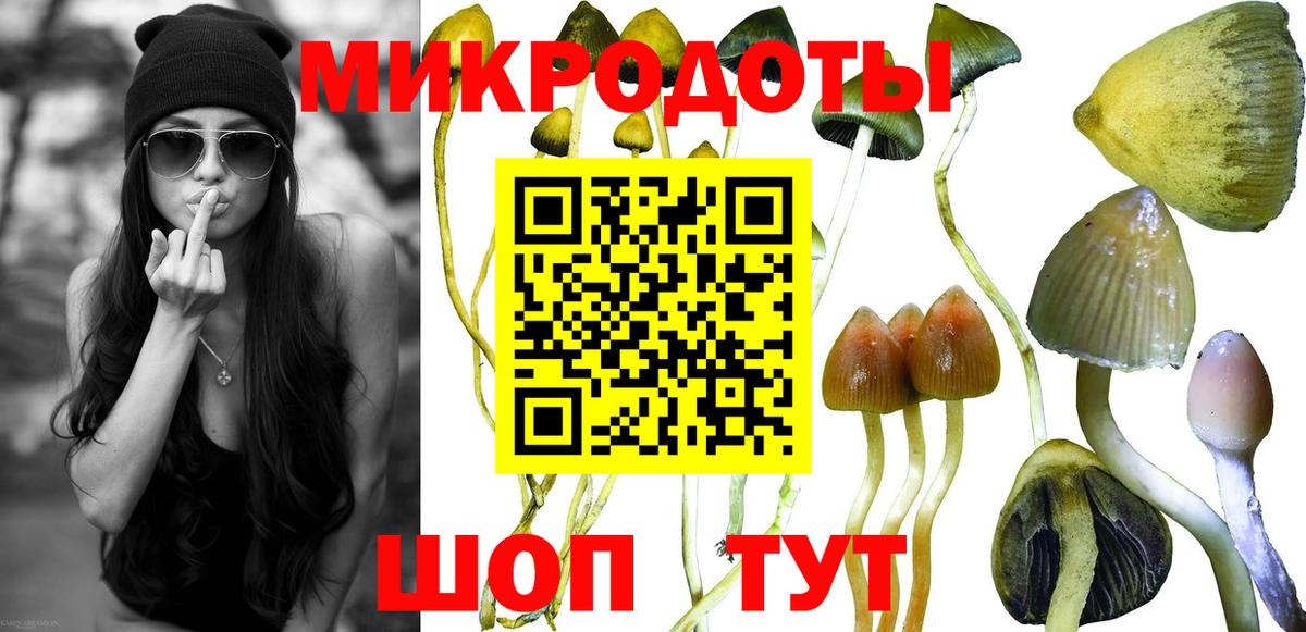 Псилоцибиновые грибы прущие грибы  Вход с VPN  Нальчик  Псилоцибиновые грибы GOLDEN TEACHER 